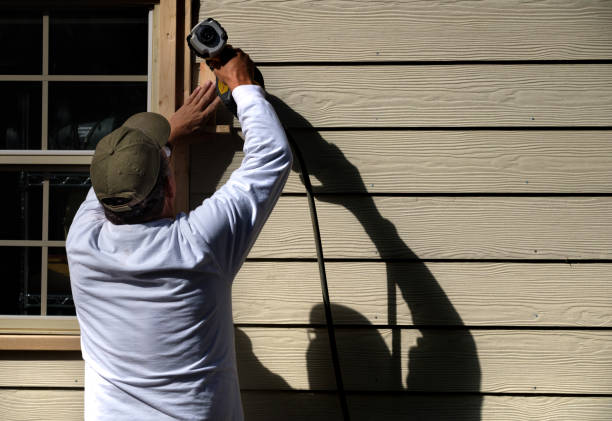 Best Insulated Siding Installation  in Bald Kno, AR